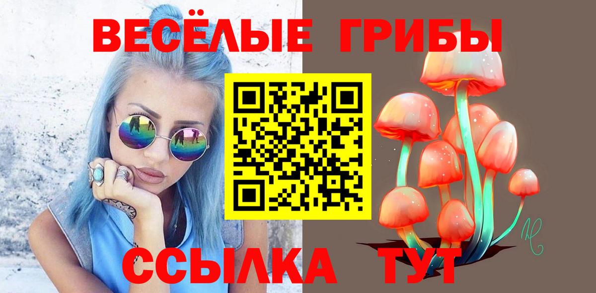 Псилоцибиновые грибы Cubensis Ногинск