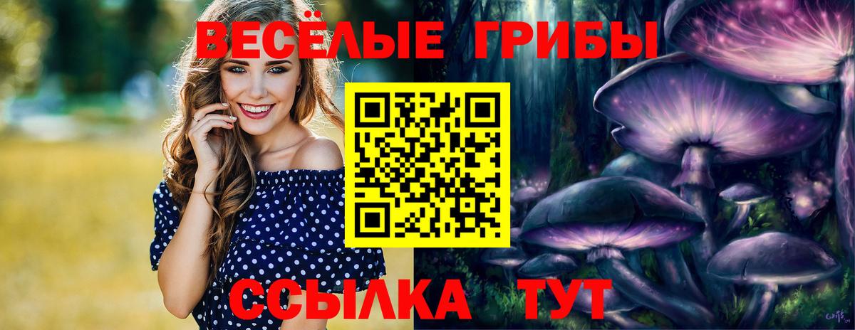 Ногинск  Псилоцибиновые грибы мухоморы  Вход с VPN  Псилоцибиновые грибы GOLDEN TEACHER 
